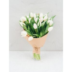 Букет 25 тюльпанів білих