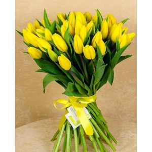 Букет із 35 жовтих тюльпанів