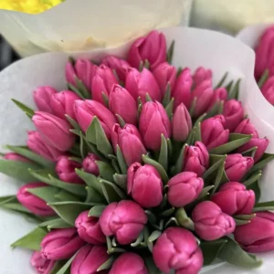 Букет тюльпанів Double Price 45 шт.