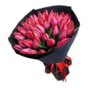 Букет з тюльпанів Jumbo Beauty 51 шт.