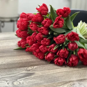 Тюльпан Largo